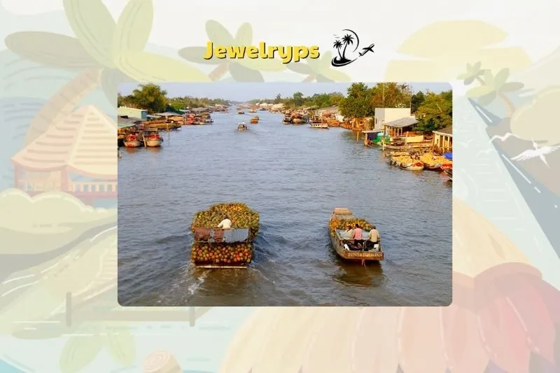 Các hoạt động thú vị khi tham quan Cù Lao Minh