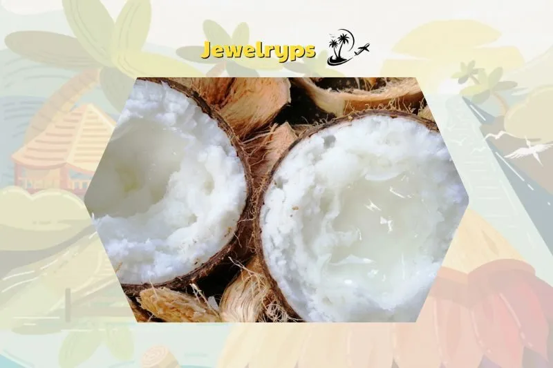 Giá dừa sáp Bến Tre