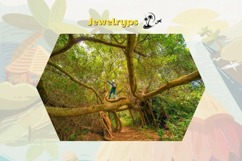 Hoạt động thú vị cho du khách