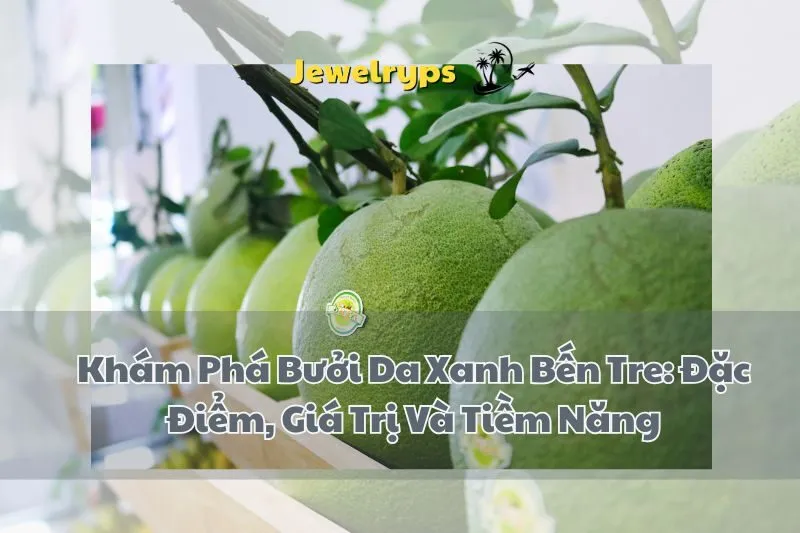 Khám Phá Bưởi Da Xanh Bến Tre: Đặc Điểm, Giá Trị Và Tiềm Năng