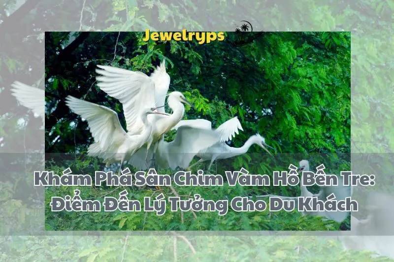 Khám Phá Sân Chim Vàm Hồ Bến Tre: Điểm Đến Lý Tưởng Cho Du Khách