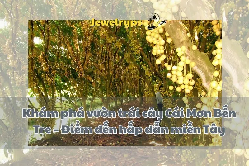 Khám phá vườn trái cây Cái Mơn Bến Tre – Điểm đến hấp dẫn miền Tây