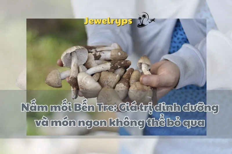 Nấm mối Bến Tre: Giá trị dinh dưỡng và món ngon không thể bỏ qua