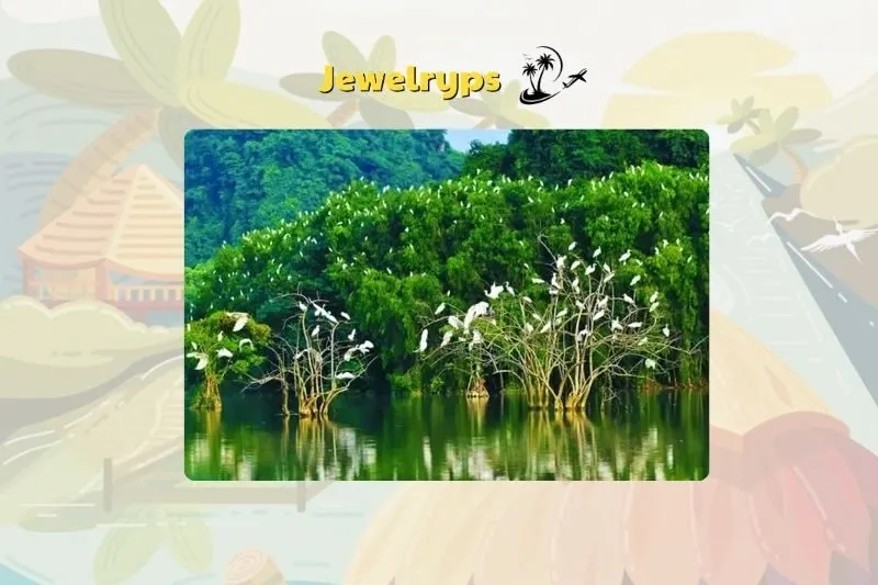 Thời điểm tham quan lý tưởng